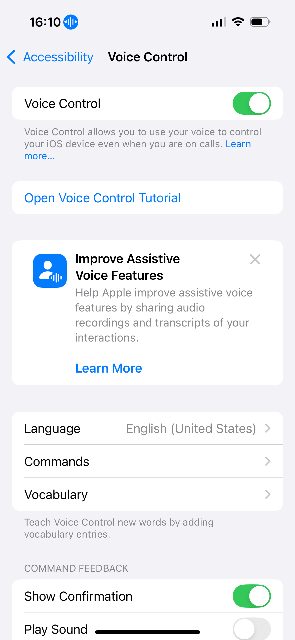 iPhone Voice Control Settings Screen